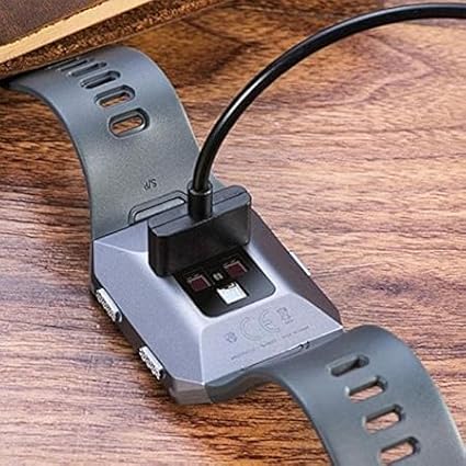Fitbit Ionic Smartwatch Charger - PazerPro